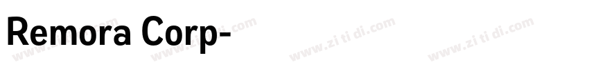 Remora Corp字体转换